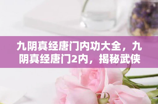 九阴真经唐门内功大全，九阴真经唐门2内，揭秘武侠世界的神秘门派
