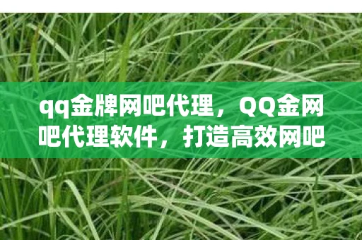 qq金牌网吧代理，QQ金网吧代理软件，打造高效网吧管理的利器
