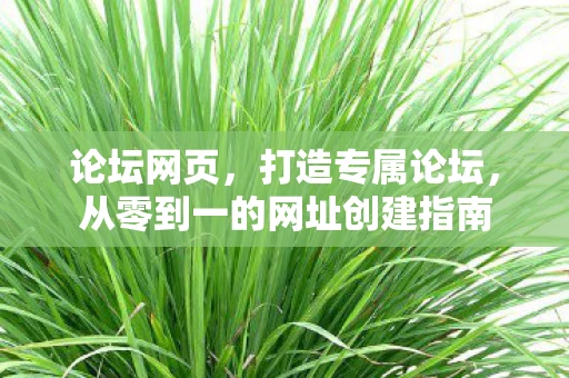 论坛网页，打造专属论坛，从零到一的网址创建指南