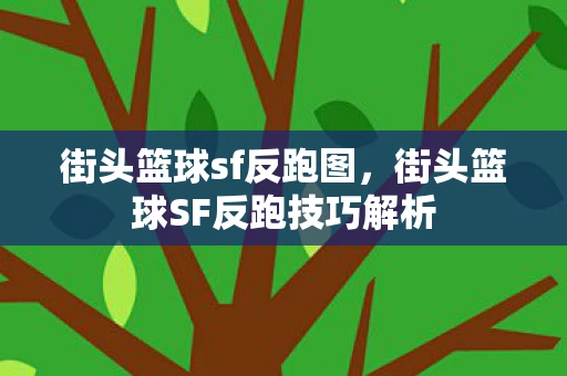 街头篮球sf反跑图，街头篮球SF反跑技巧解析