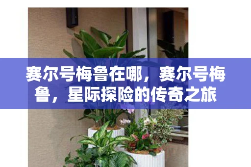 赛尔号梅鲁在哪，赛尔号梅鲁，星际探险的传奇之旅