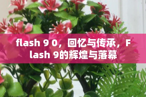 flash 9 0，回忆与传承，Flash 9的辉煌与落幕
