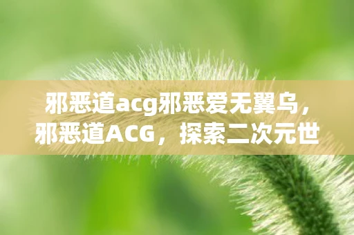 邪恶道acg邪恶爱无翼乌，邪恶道ACG，探索二次元世界的黑暗面
