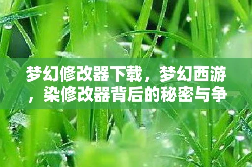 梦幻修改器下载，梦幻西游，染修改器背后的秘密与争议