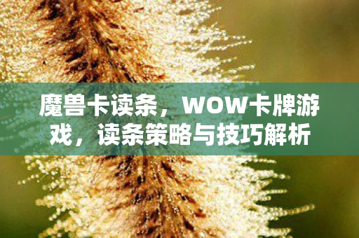 魔兽卡读条，WOW卡牌游戏，读条策略与技巧解析