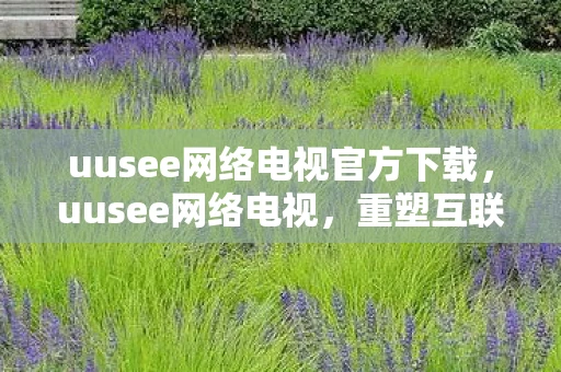 uusee网络电视官方下载，uusee网络电视，重塑互联网娱乐新生态