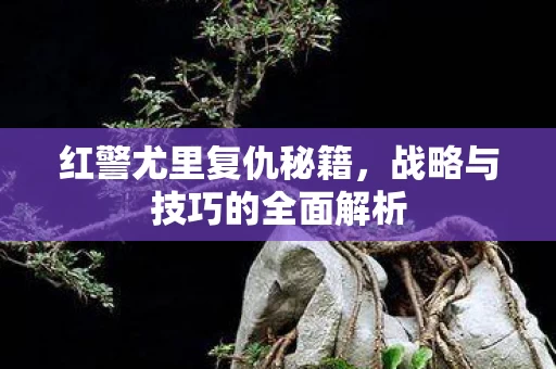 战略与技巧的全面解析图片