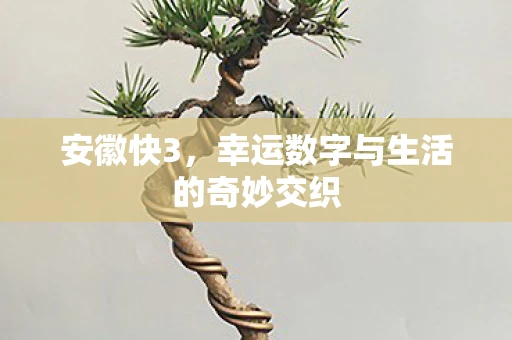 安徽快3，幸运数字与生活的奇妙交织