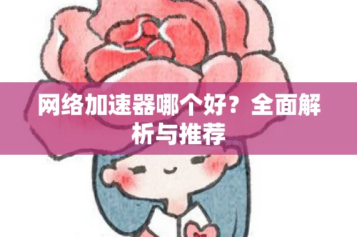 网络加速器哪个好？全面解析与推荐