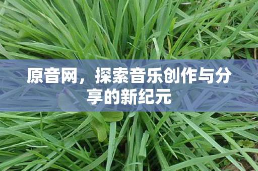 原音网，探索音乐创作与分享的新纪元