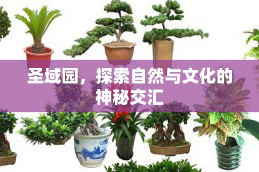圣域园，探索自然与文化的神秘交汇