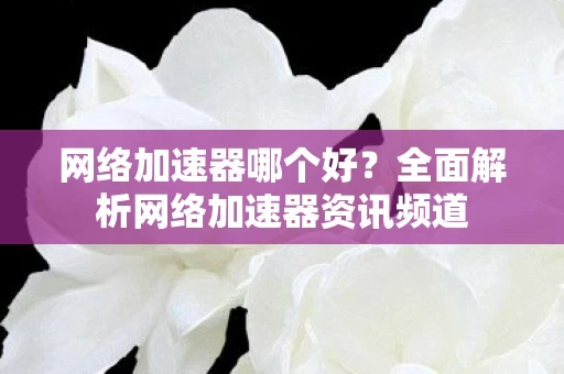 全面解析网络加速器资讯频道图片