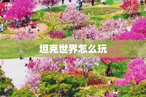 坦克世界怎么玩