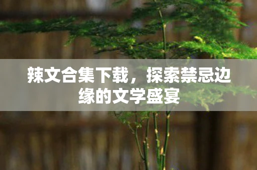 辣文合集下载，探索禁忌边缘的文学盛宴