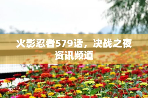 火影忍者579话图片