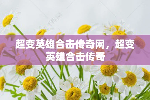 超变英雄合击传奇网，超变英雄合击传奇