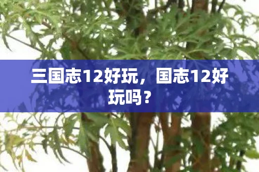 三国志12好玩，国志12好玩吗？