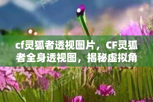 cf灵狐者透视图片，CF灵狐者全身透视图，揭秘虚拟角色的真实面貌