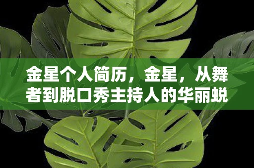 金星个人简历，金星，从舞者到脱口秀主持人的华丽蜕变