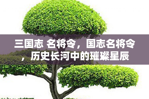 三国志 名将令,国志名将令,历史长河中的璀璨星辰 三国志 名将令,国志名将令,历史长河中的璀璨星辰