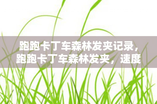跑跑卡丁车森林发夹记录，跑跑卡丁车森林发夹，速度与激情的森林冒险
