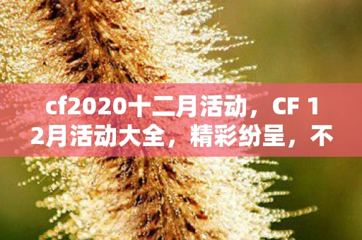 cf2020十二月活动，CF 12月活动大全，精彩纷呈，不容错过！
