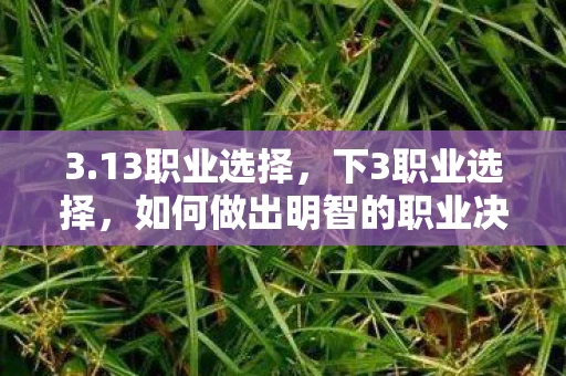 3.13职业选择，下3职业选择，如何做出明智的职业决策