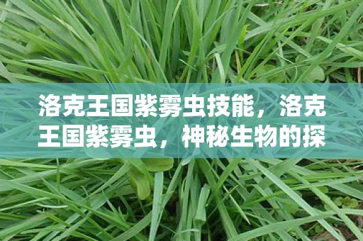 洛克王国紫雾虫技能，洛克王国紫雾虫，神秘生物的探索与揭秘