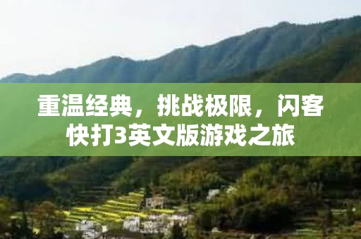 闪客快打3英文版游戏之旅图片