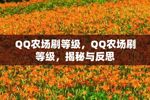 QQ农场刷等级，QQ农场刷等级，揭秘与反思