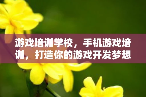 游戏培训学校，手机游戏培训，打造你的游戏开发梦想
