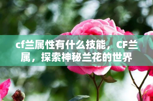 cf兰属性有什么技能，CF兰属，探索神秘兰花的世界