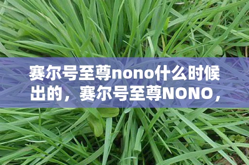 赛尔号至尊nono什么时候出的，赛尔号至尊NONO，解锁你的游戏新体验