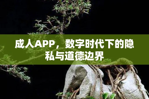 成人APP，数字时代下的隐私与道德边界