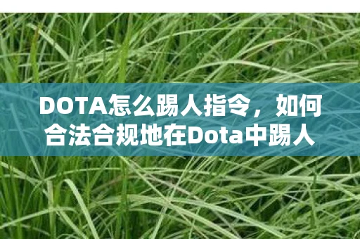 DOTA怎么踢人指令，如何合法合规地在Dota中踢人