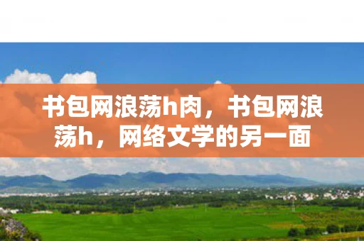 书包网浪荡h肉，书包网浪荡h，网络文学的另一面