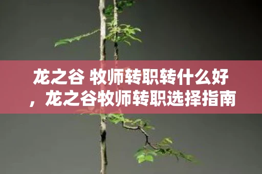龙之谷 牧师转职转什么好，龙之谷牧师转职选择指南，打造你的专属神圣守护者
