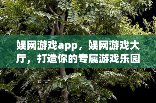 娱网游戏app，娱网游戏大厅，打造你的专属游戏乐园