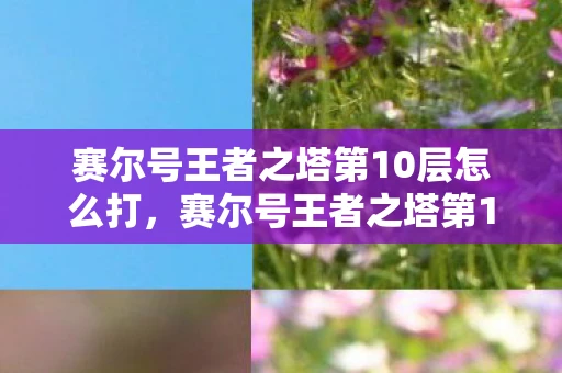 赛尔号王者之塔第10层怎么打，赛尔号王者之塔第10层攻略