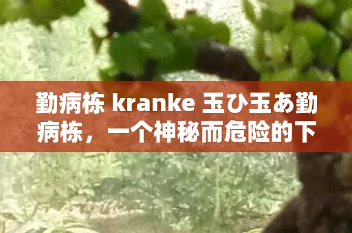 勤病栋 kranke 玉ひ玉あ勤病栋，一个神秘而危险的下载地址