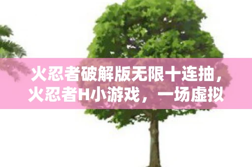 火忍者破解版无限十连抽，火忍者H小游戏，一场虚拟世界的冒险之旅