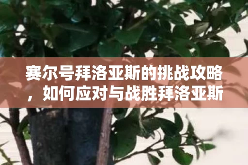 赛尔号拜洛亚斯的挑战攻略图片
