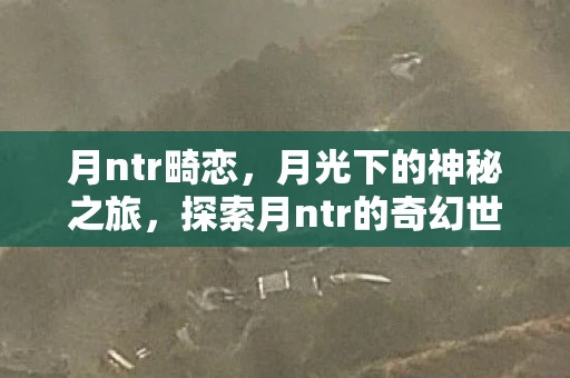 月ntr畸恋，月光下的神秘之旅，探索月ntr的奇幻世界