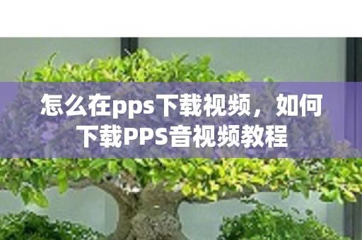 怎么在pps下载视频，如何下载PPS音视频教程