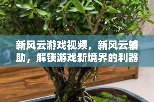 新风云游戏视频，新风云辅助，解锁游戏新境界的利器