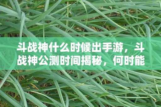 斗战神什么时候出手游，斗战神公测时间揭秘，何时能踏上这场神战之旅？