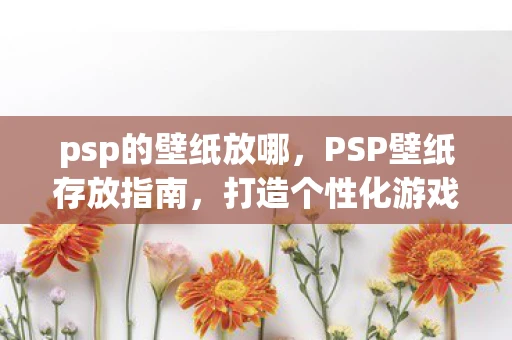 psp的壁纸放哪，PSP壁纸存放指南，打造个性化游戏界面