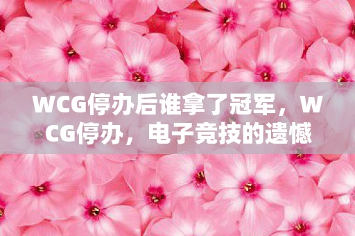 WCG停办后谁拿了冠军,WCG停办,电子竞技的遗憾与未来展望 WCG停办后谁拿了冠军,WCG停办,电子竞技的遗憾与未来展望