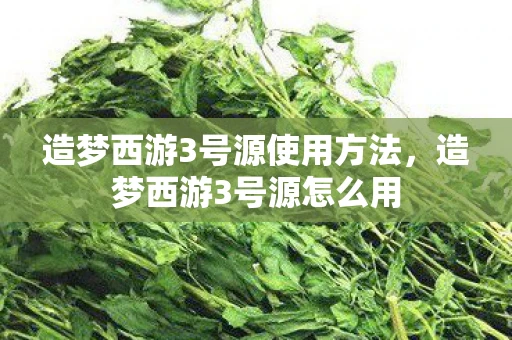造梦西游3号源使用方法，造梦西游3号源怎么用