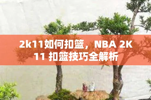 2k11如何扣篮，NBA 2K11 扣篮技巧全解析